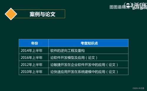 系统分析师 软件工程